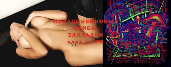 apvp Волосово