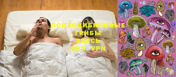 apvp Волосово
