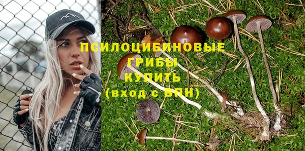 apvp Волосово